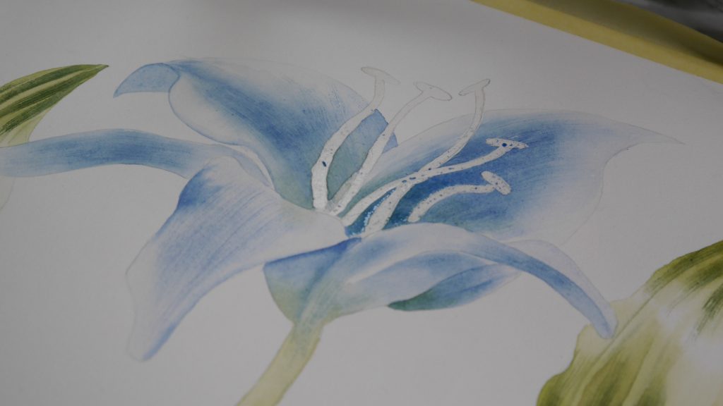 Progress of a blue lily being painted