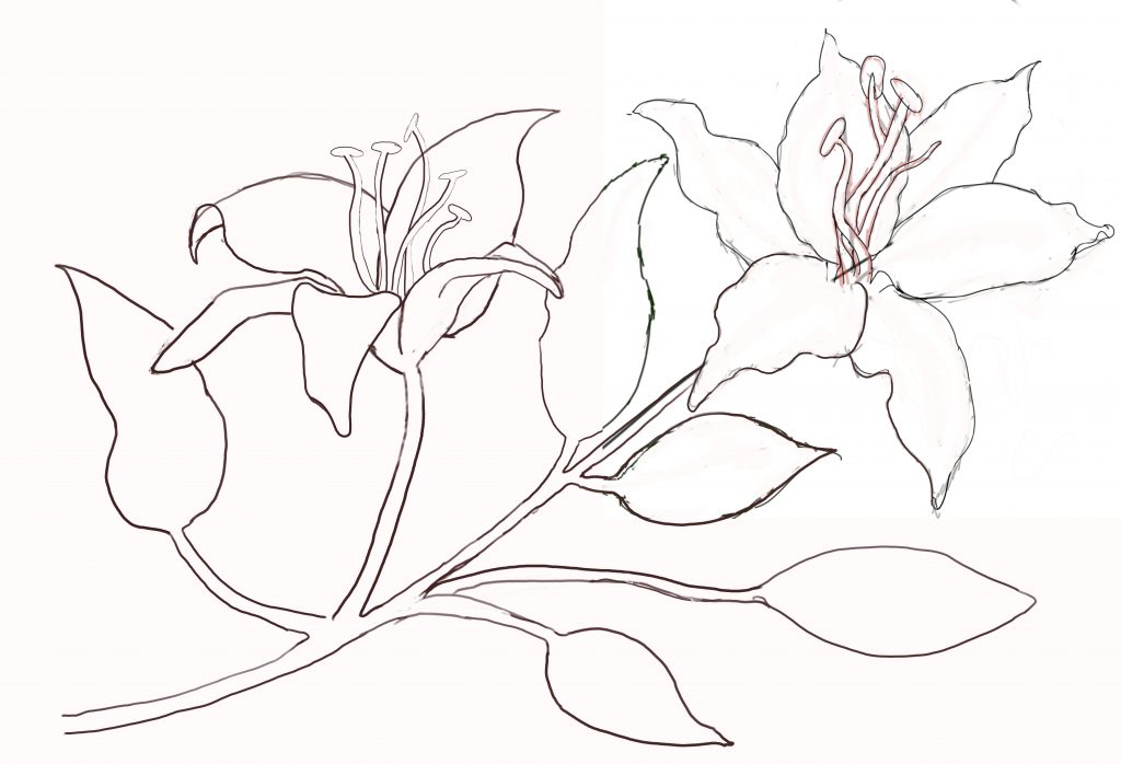 Botanical blue lilies in watercolour