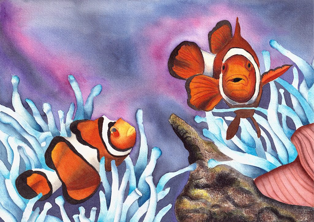 Circus - Watercolour Clownfish