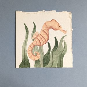 Seahorse Watercolour Illustration