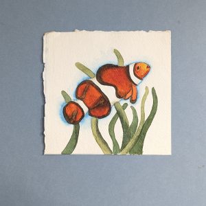 Clownfish Watercolour Illustration