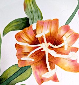 QoR Watercolours Review