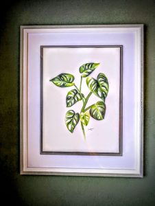 Watercolour painting of a monstera